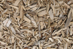 biomass boilers Thoulstone